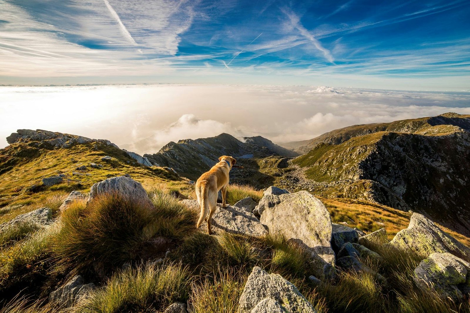 Best Hiking Trails in Kenya for Wildlife and Scenic Views