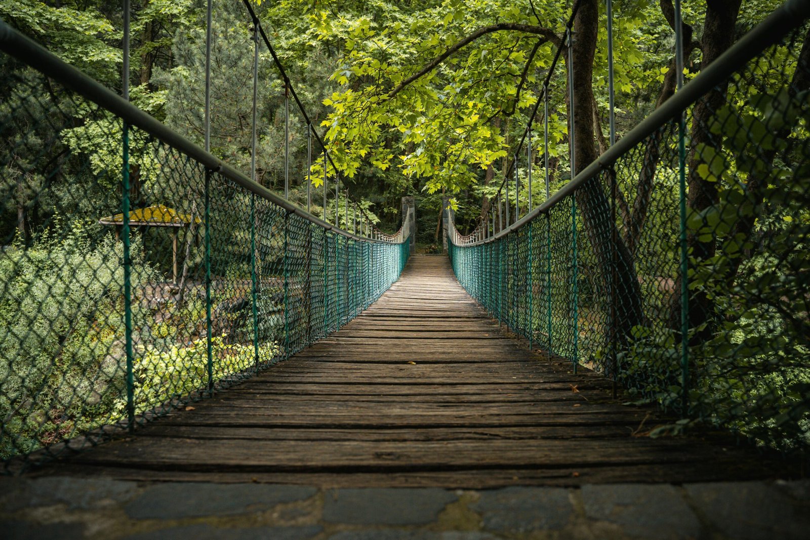 Best Hiking Trails in Costa Rica for Nature Lovers